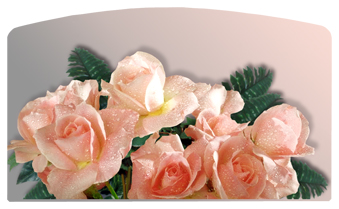 DACRO-062 Bouquet Of Roses Peach